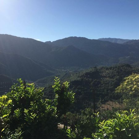 Gite , Maison De Vacances Avec Exterieur Et Terrasse Fleurie Meuble Tourisme 3 Etoiles Santa-Lucia-di-Tallano エクステリア 写真