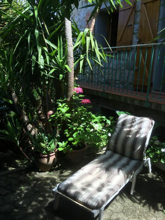 Gite , Maison De Vacances Avec Exterieur Et Terrasse Fleurie Meuble Tourisme 3 Etoiles Santa-Lucia-di-Tallano エクステリア 写真