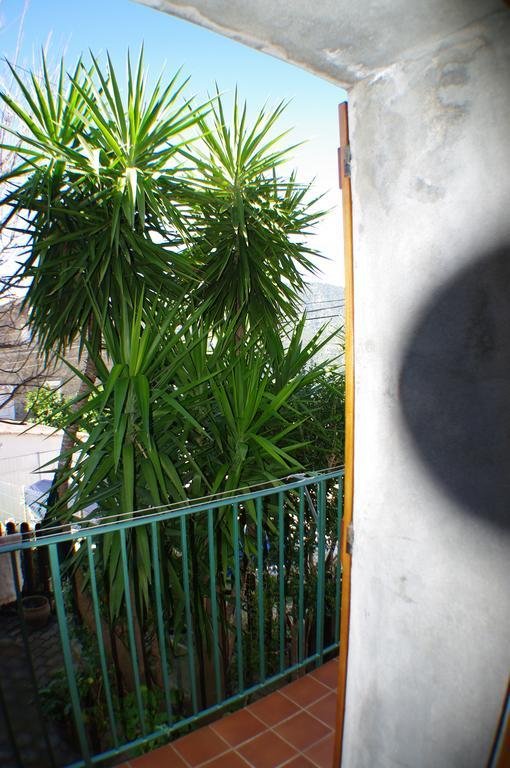 Gite , Maison De Vacances Avec Exterieur Et Terrasse Fleurie Meuble Tourisme 3 Etoiles Santa-Lucia-di-Tallano エクステリア 写真