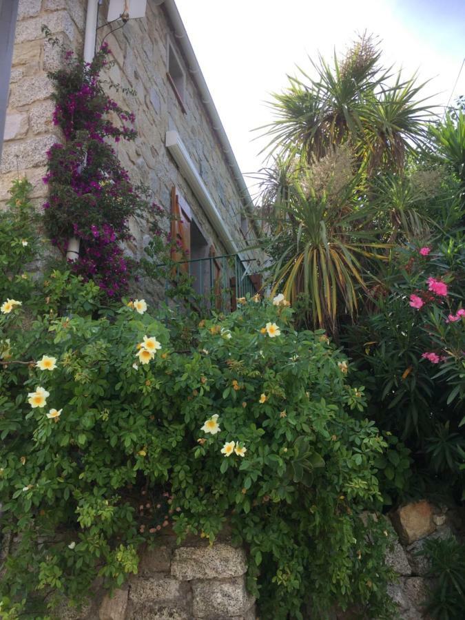Gite , Maison De Vacances Avec Exterieur Et Terrasse Fleurie Meuble Tourisme 3 Etoiles Santa-Lucia-di-Tallano エクステリア 写真